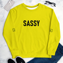 Load image into Gallery viewer, Sweater - &quot;Sassy Bear&quot; Collection
